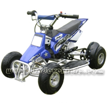 49CC QUAD MINI QUAD 49CC MINI QUAD (MC-301B)